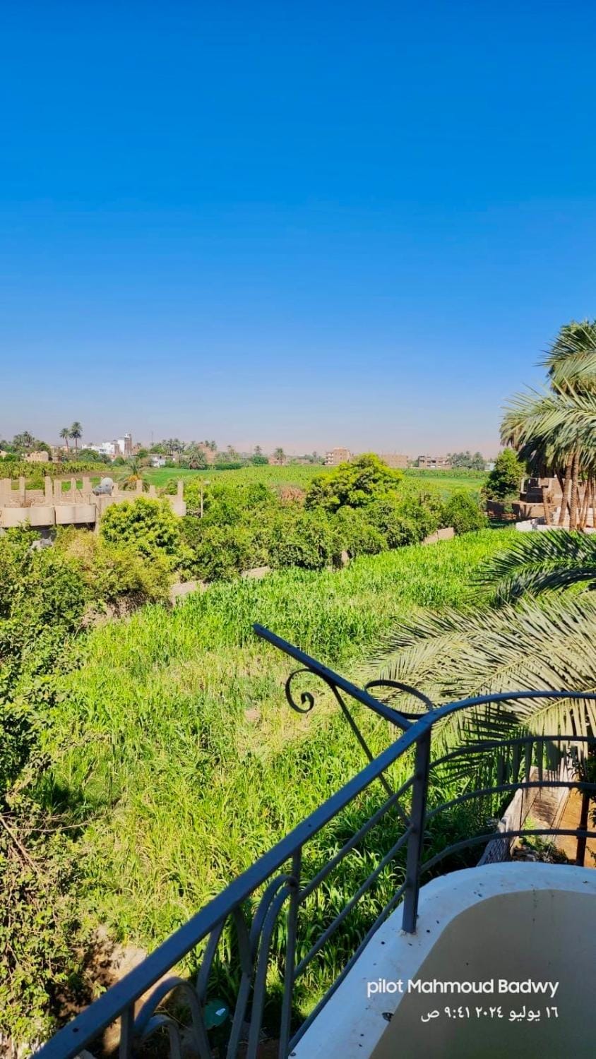 Spring, Natural landscape, Garden, View (from property/room)