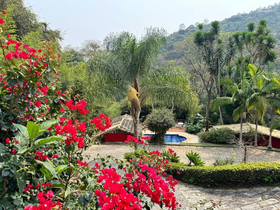 View (from property/room)