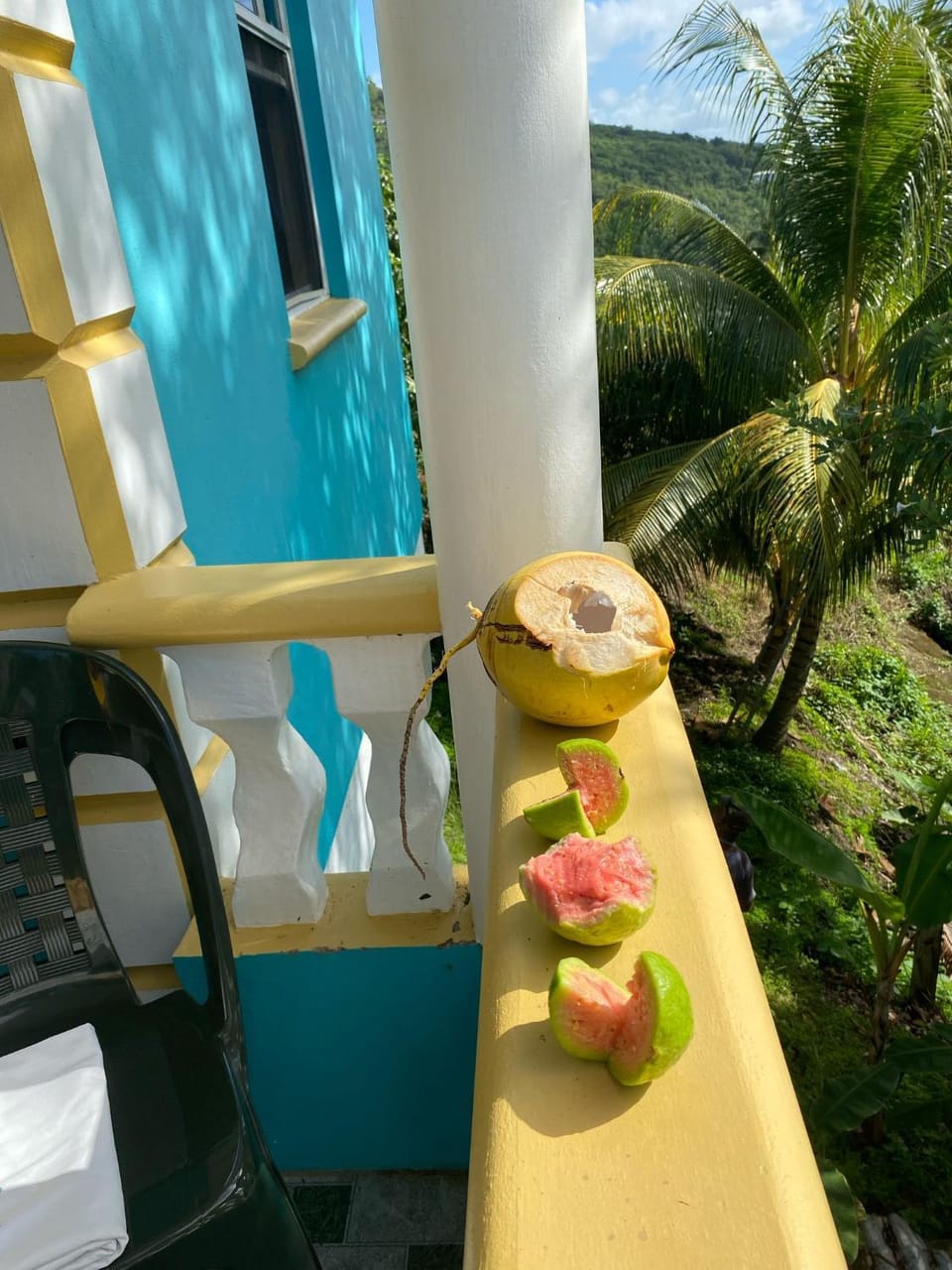 Natural landscape, Garden, Garden, Balcony/Terrace, Food