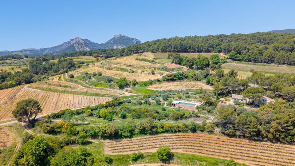 Bird's eye view, View (from property/room)