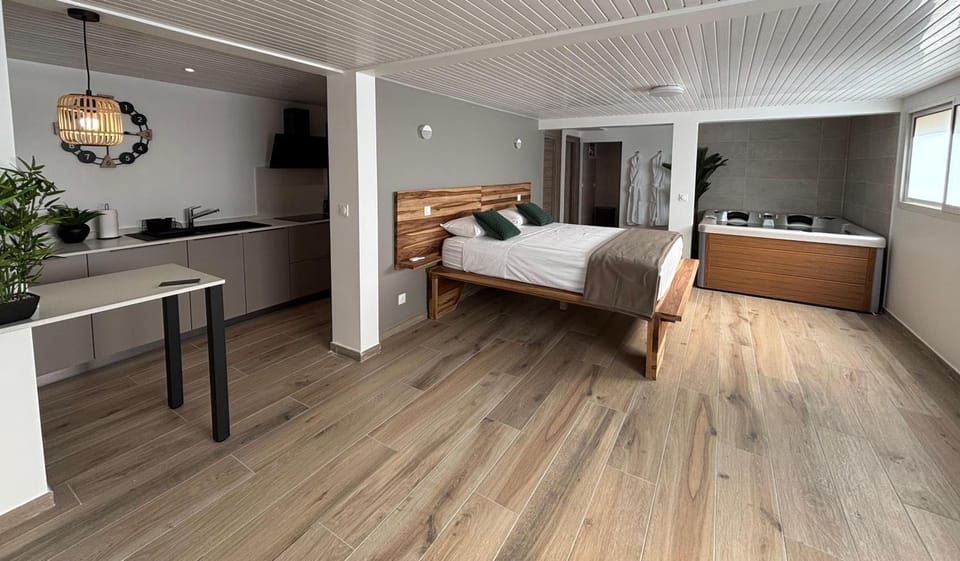VENUS LOCATION - Loft climatisé avec Spa Apartment in La Trinité