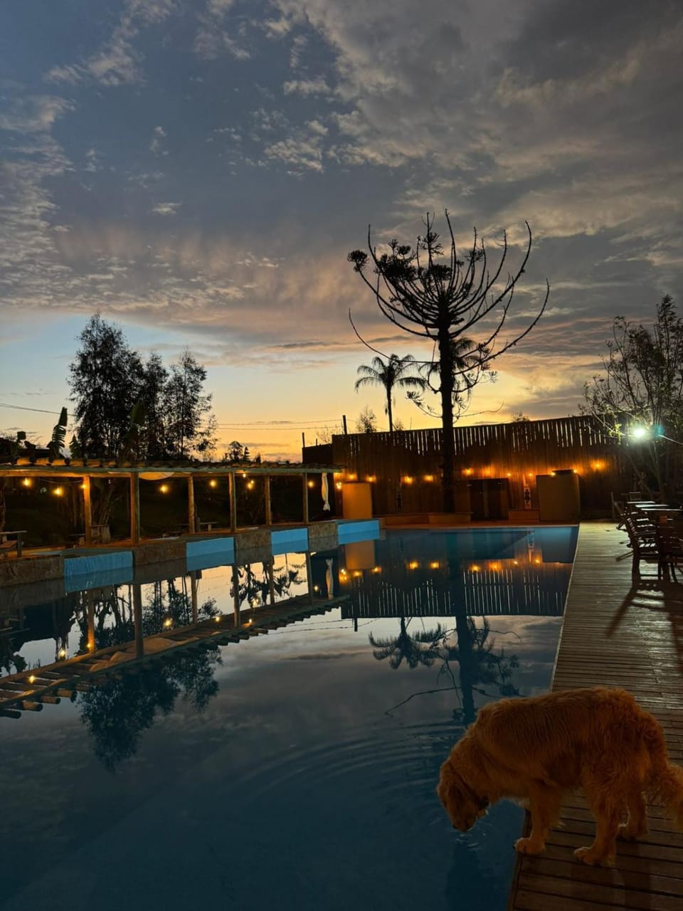 Fazenda Brotas SP Resort in State of São Paulo