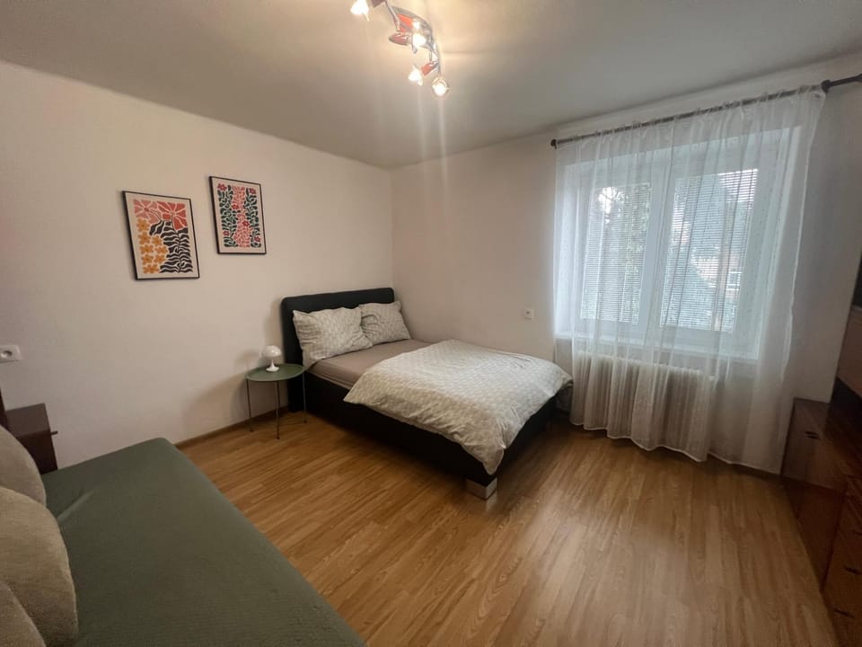 Útulný vintage 1-izbový byt Trenčín Apartment in Slovakia