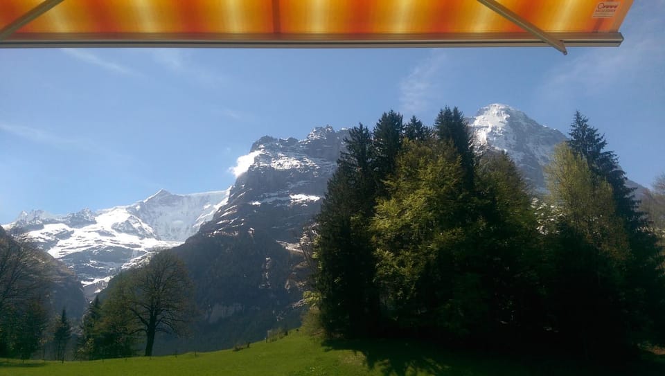 Spring, Winter, Summer, Autumn