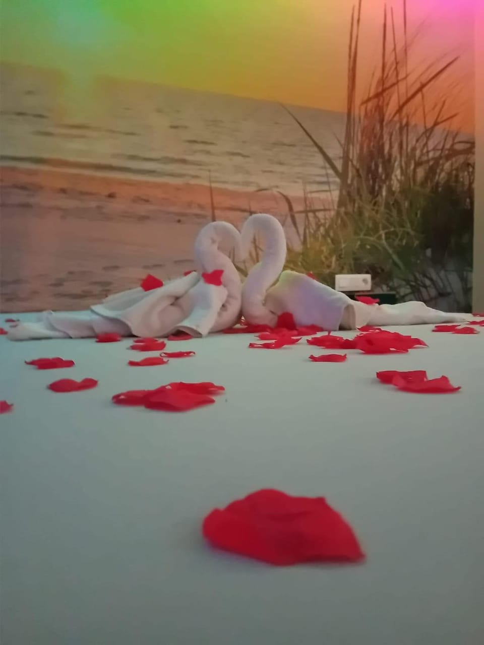 Bulles d evasion Love hotel in Hauts-de-France