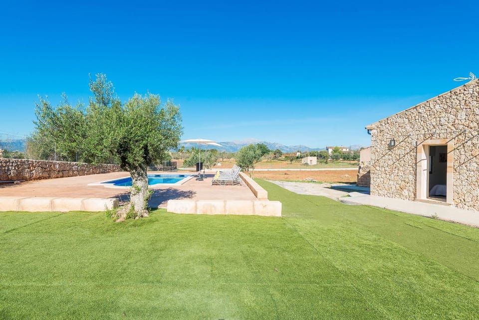 Patio, Spring, Day, Natural landscape, Garden, Garden, Garden view, Pool view, Swimming pool, sunbed