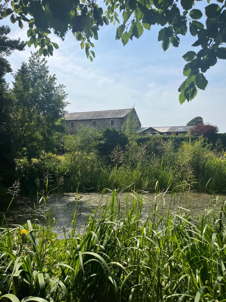 Garden view