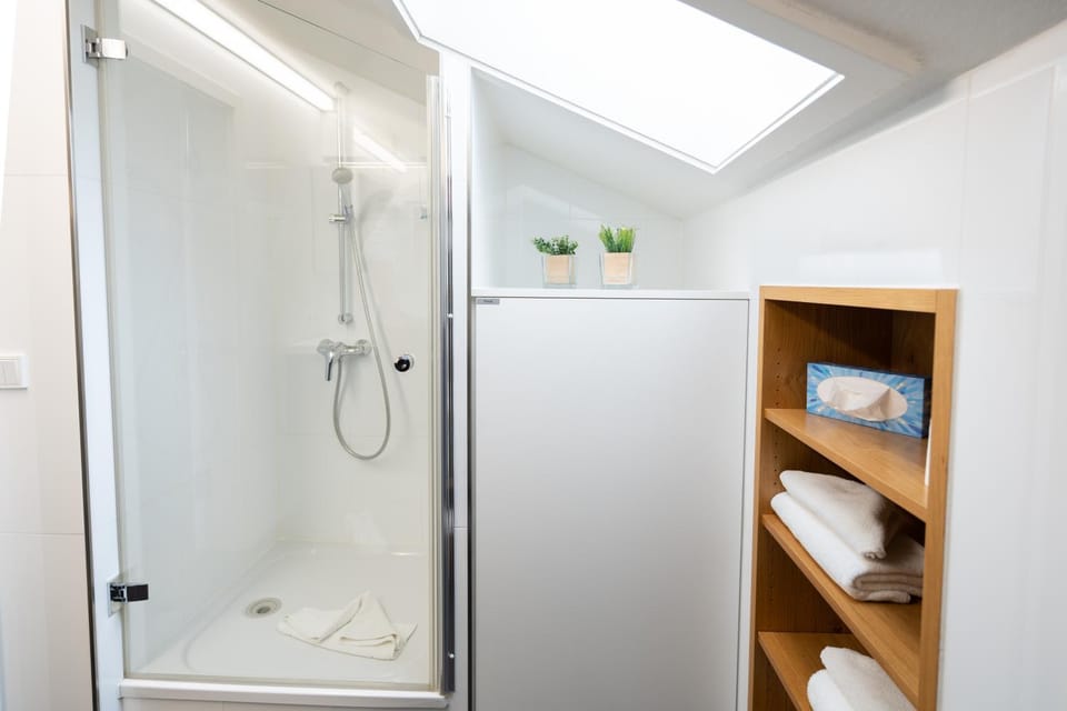 Shower, Bathroom, towels