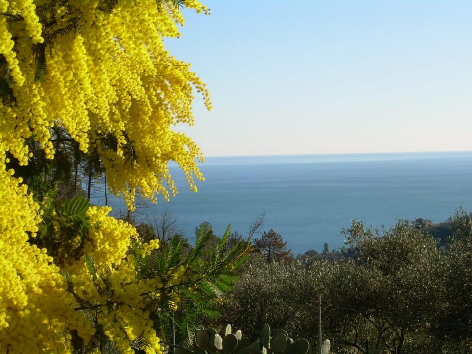 Natural landscape, Sea view