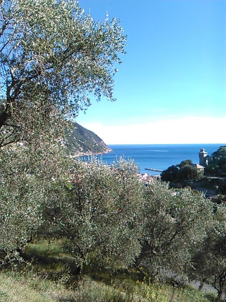 Ariabuona Apartment in Liguria