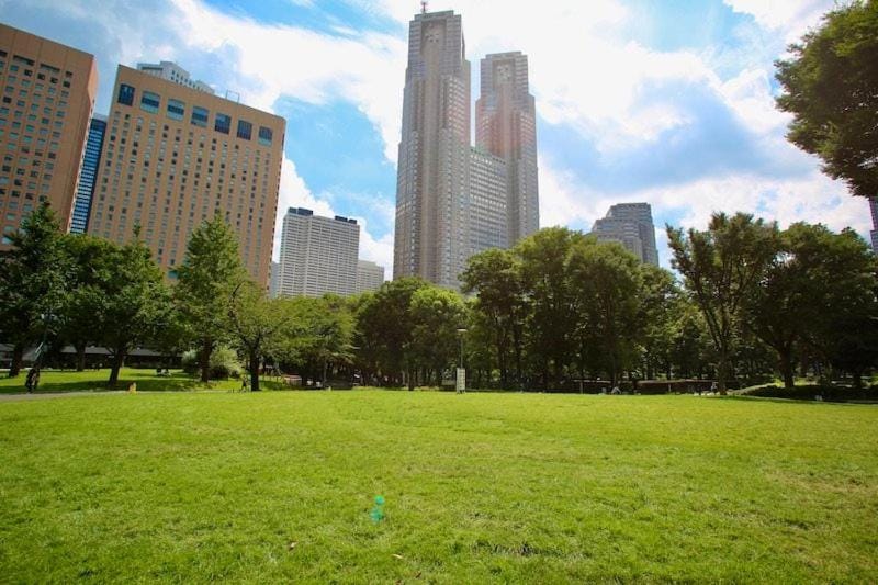 Landmark view