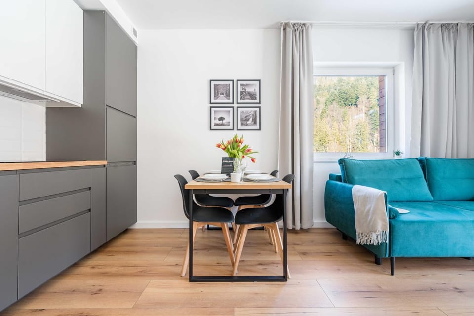 Apartament Bike&Hike nad brzegiem rzeki Wisły Apartment in Czechia