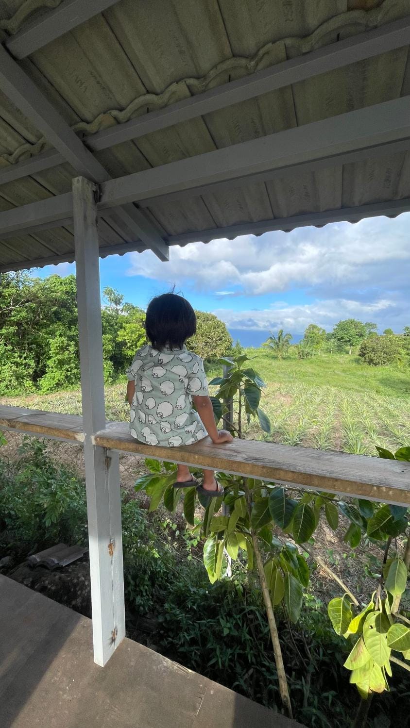 Natural landscape, Garden, View (from property/room)