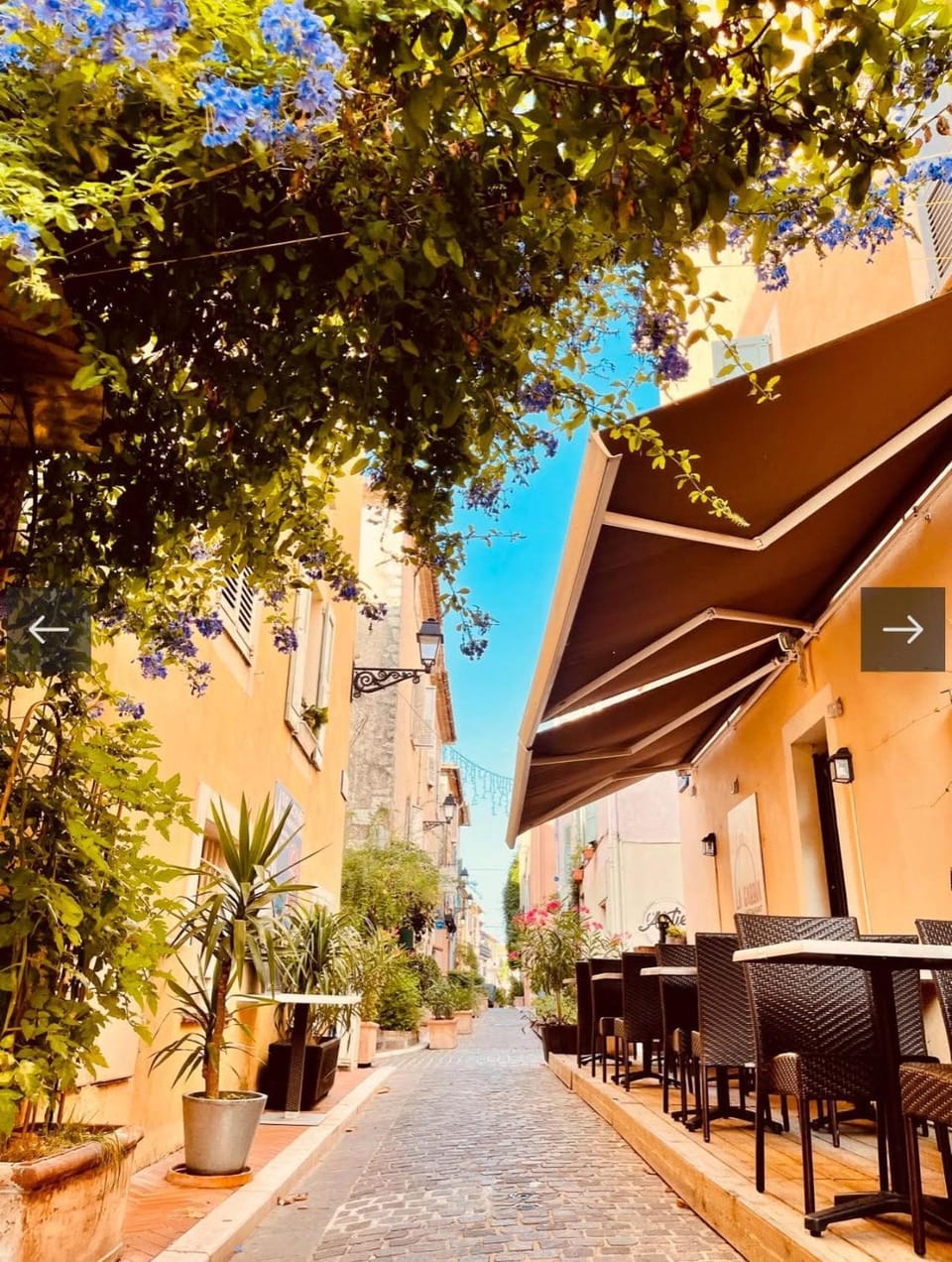 Le Mas Provençal Apartment in Mouans-Sartoux