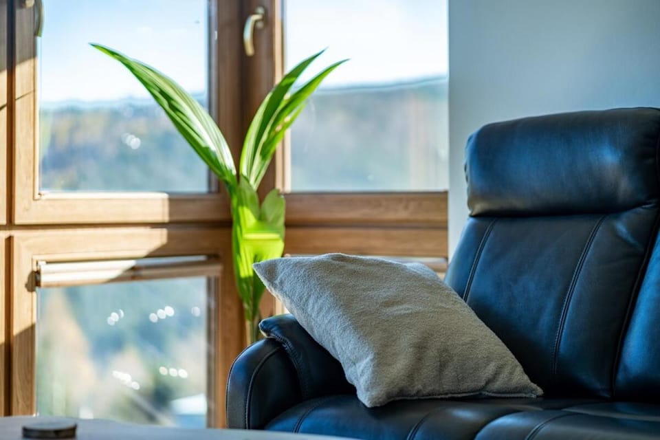 Living room, Seating area, Mountain view, Mountain view