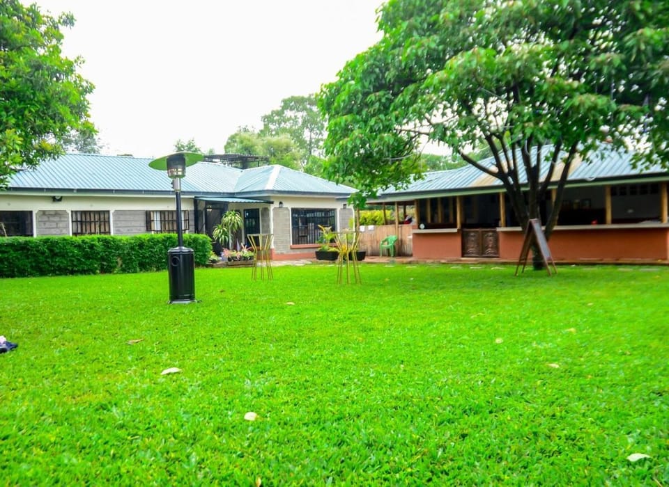 Day, Garden