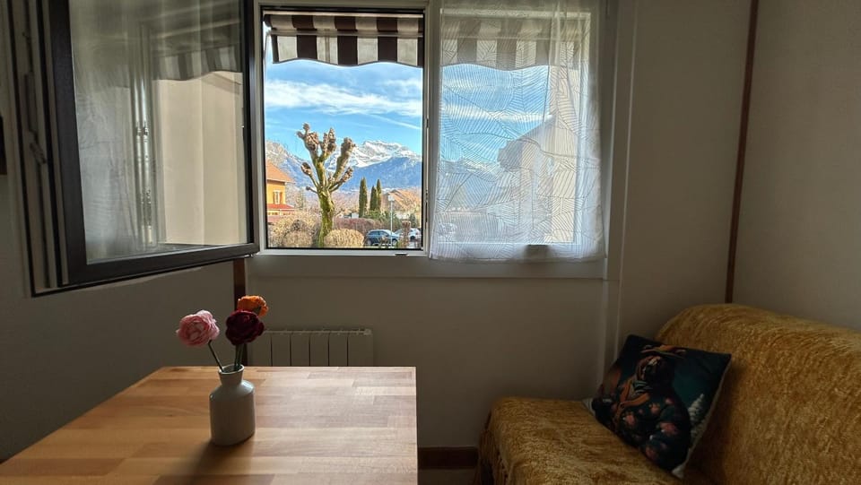 Vue montagnes, à 5 mn du lac et de la piste cyclable,lit King size, Park gratuit Apartment in Sévrier