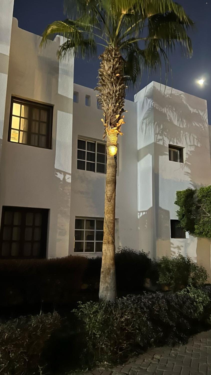 Property building, Night