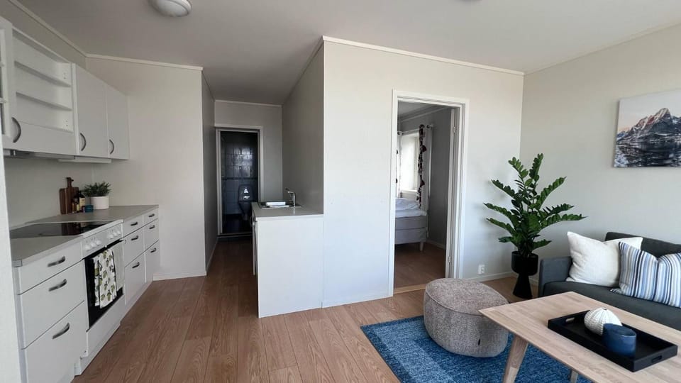 Apartment Elisabeth at Fiskekrogen Apartment in Lofoten