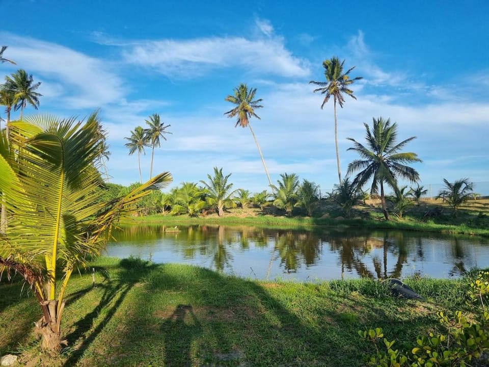 Beachhouse Costa de Aratuba House in State of Bahia