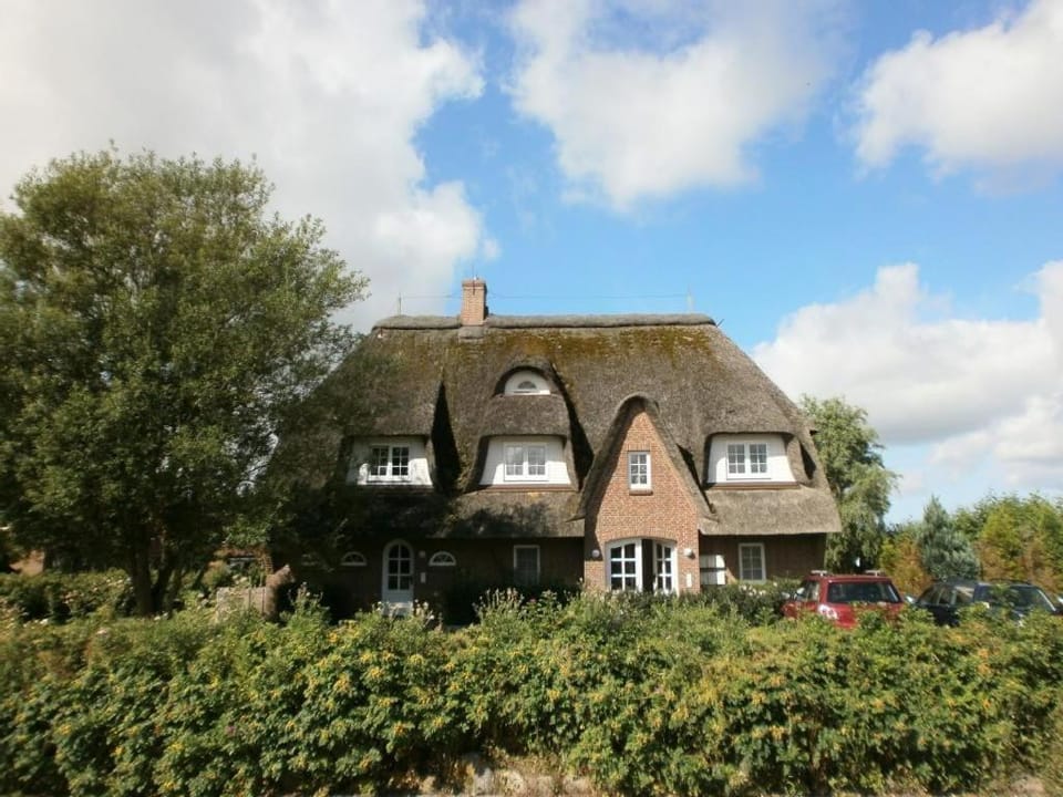 Property building, Garden view