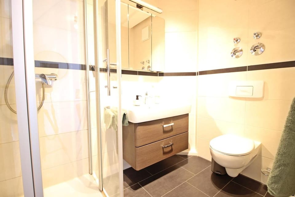 Shower, Toilet, Bathroom, towels