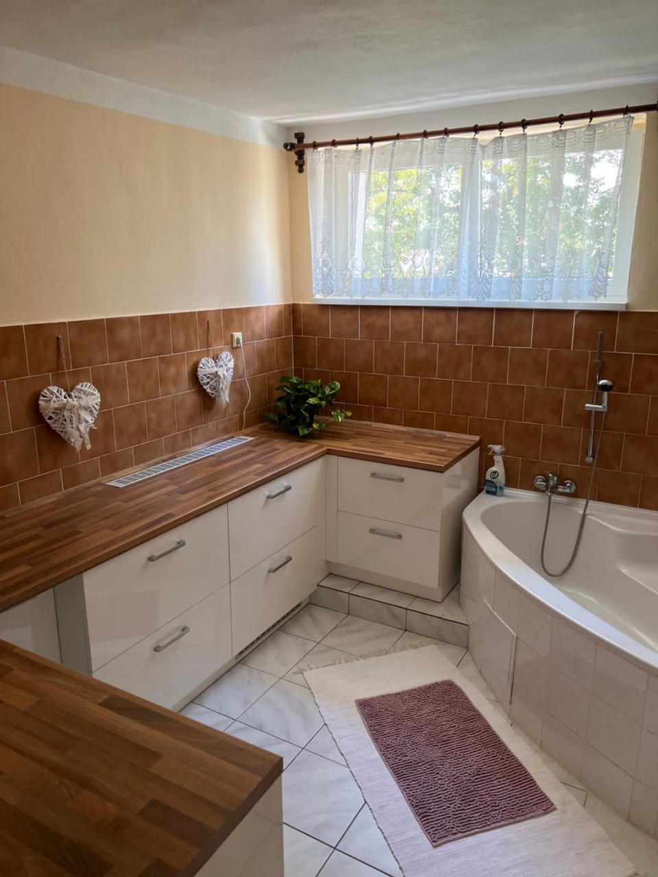 UBYTOVÁNÍ ALENA Apartment in Czechia