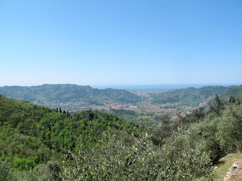 View (from property/room)