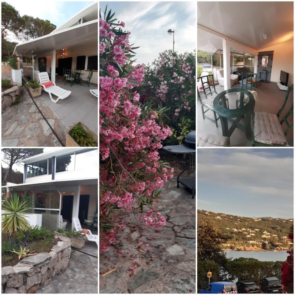 Patio, Garden