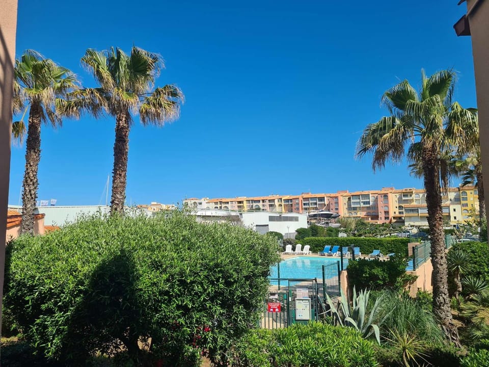 Pool view, Swimming pool