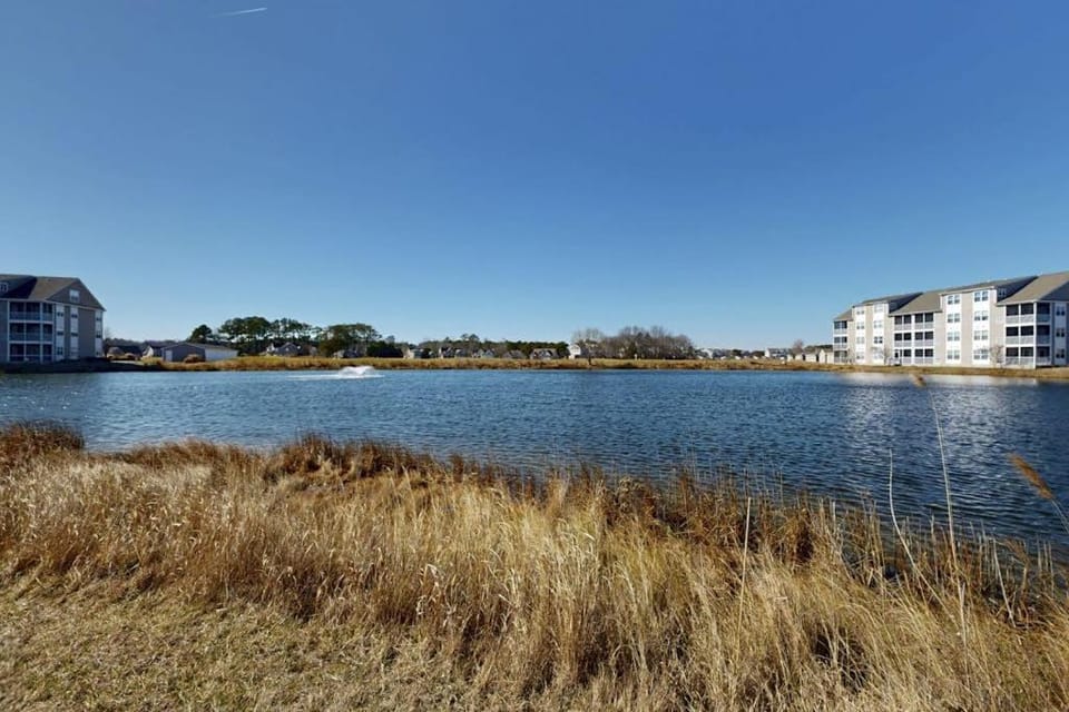 Bethany Bay --- 1001 Pavilion Drive House in Sussex County