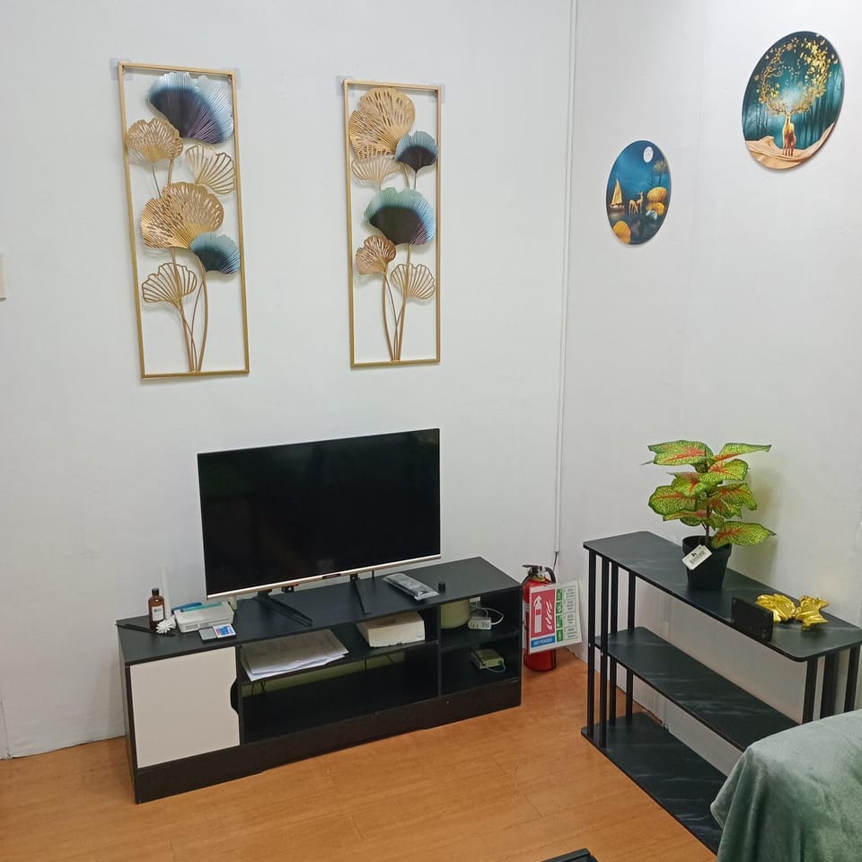 Communal lounge/ TV room, TV and multimedia