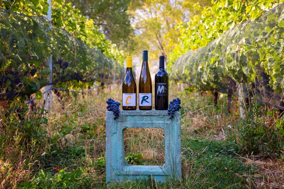 Crowsnest Vineyards Guesthouse Bed and Breakfast in British Columbia