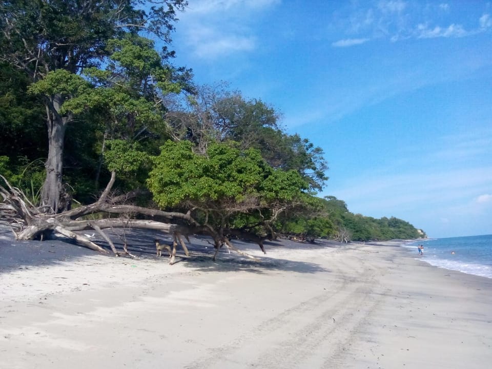 Beach