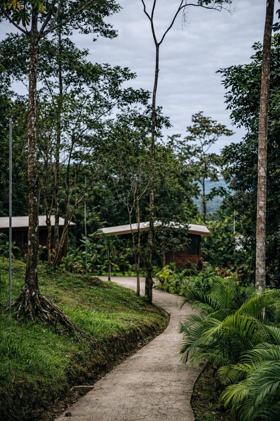 Chato Arenal Lodge Hotel in Alajuela Province