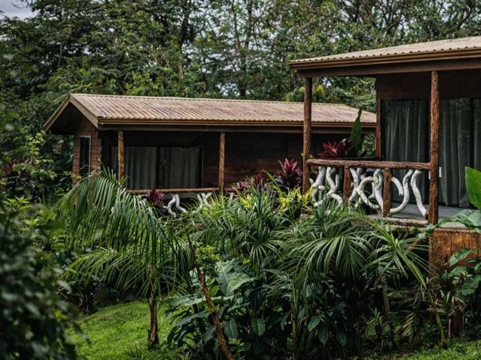 Property building, Garden view