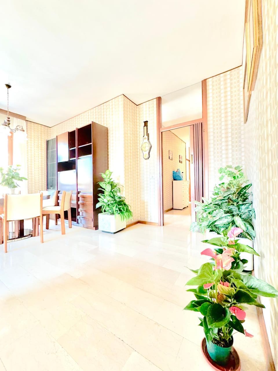 Nido tra monti Apartment in Sondrio