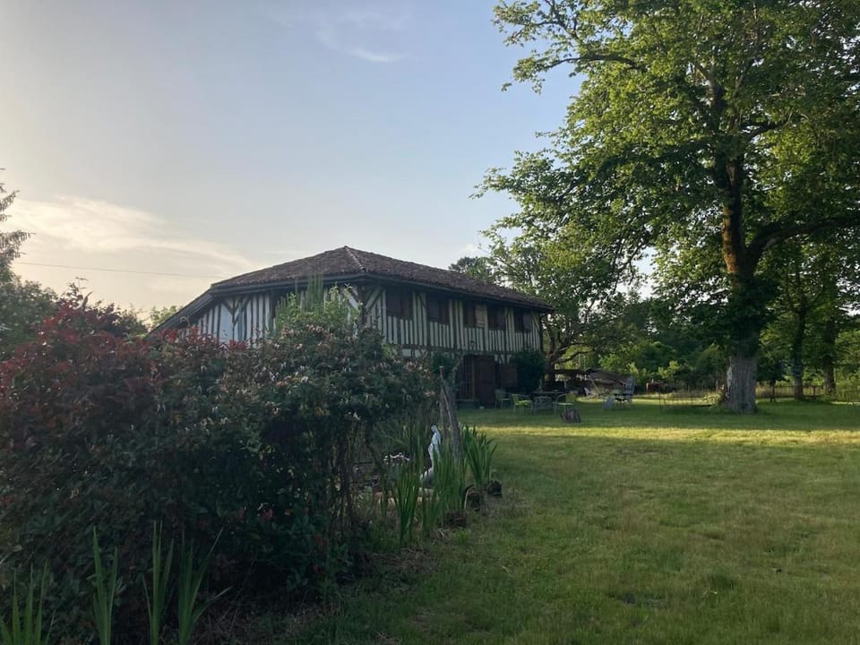 Property building, Natural landscape, Garden
