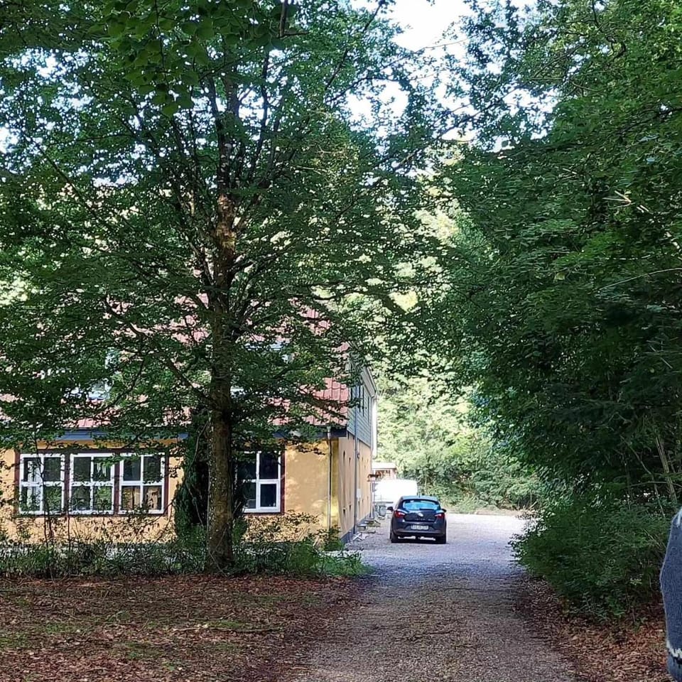 Property building, Spring, Day, Natural landscape, Parking
