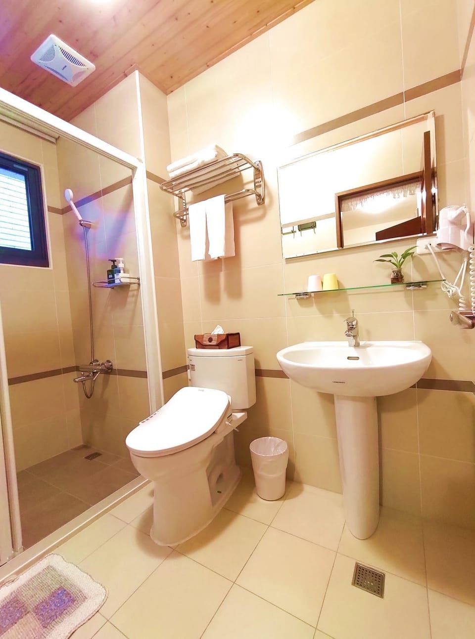 Toilet, Bathroom