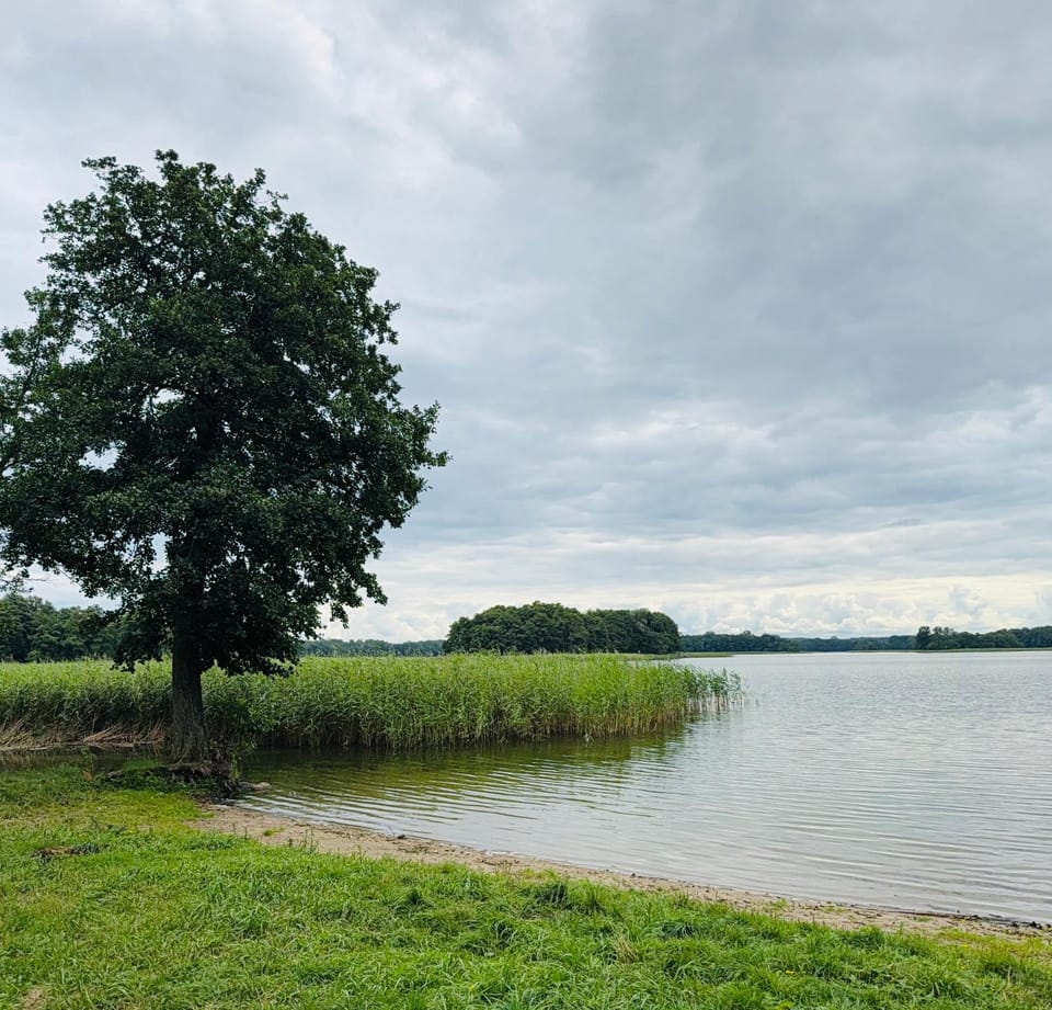 Nearby landmark, Natural landscape, Beach, Lake view