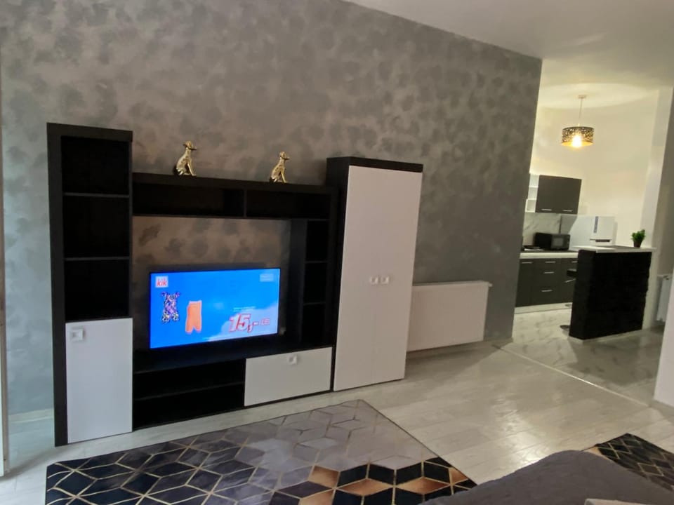 Edan Studio Apartment in Brasov