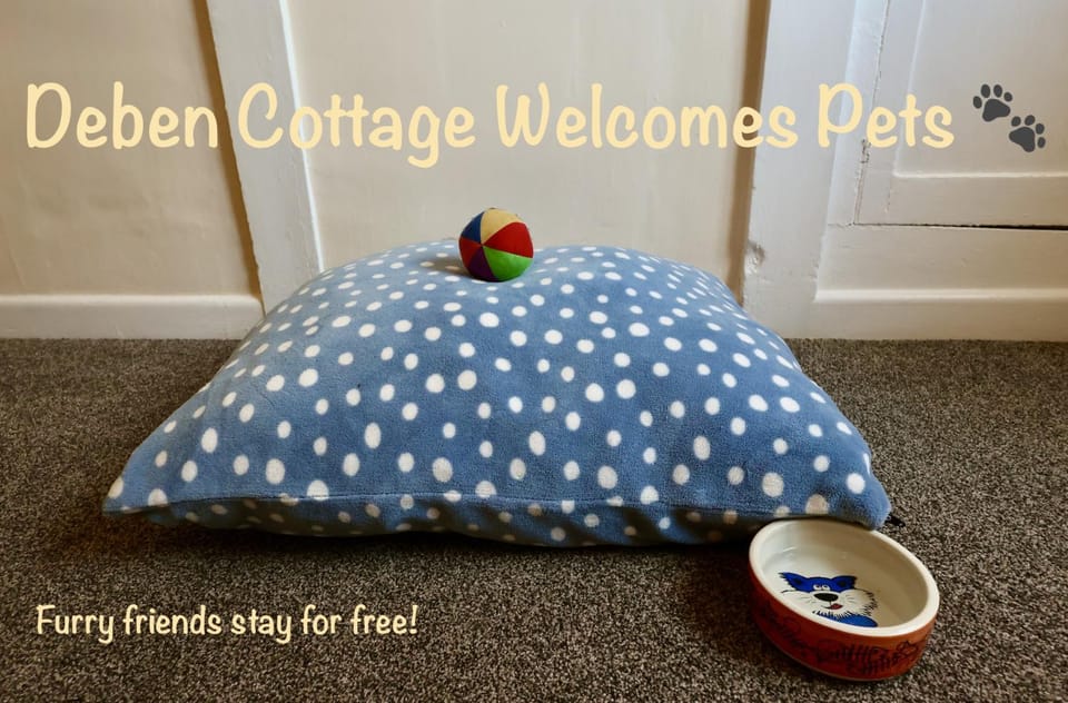 Pets, pet friendly