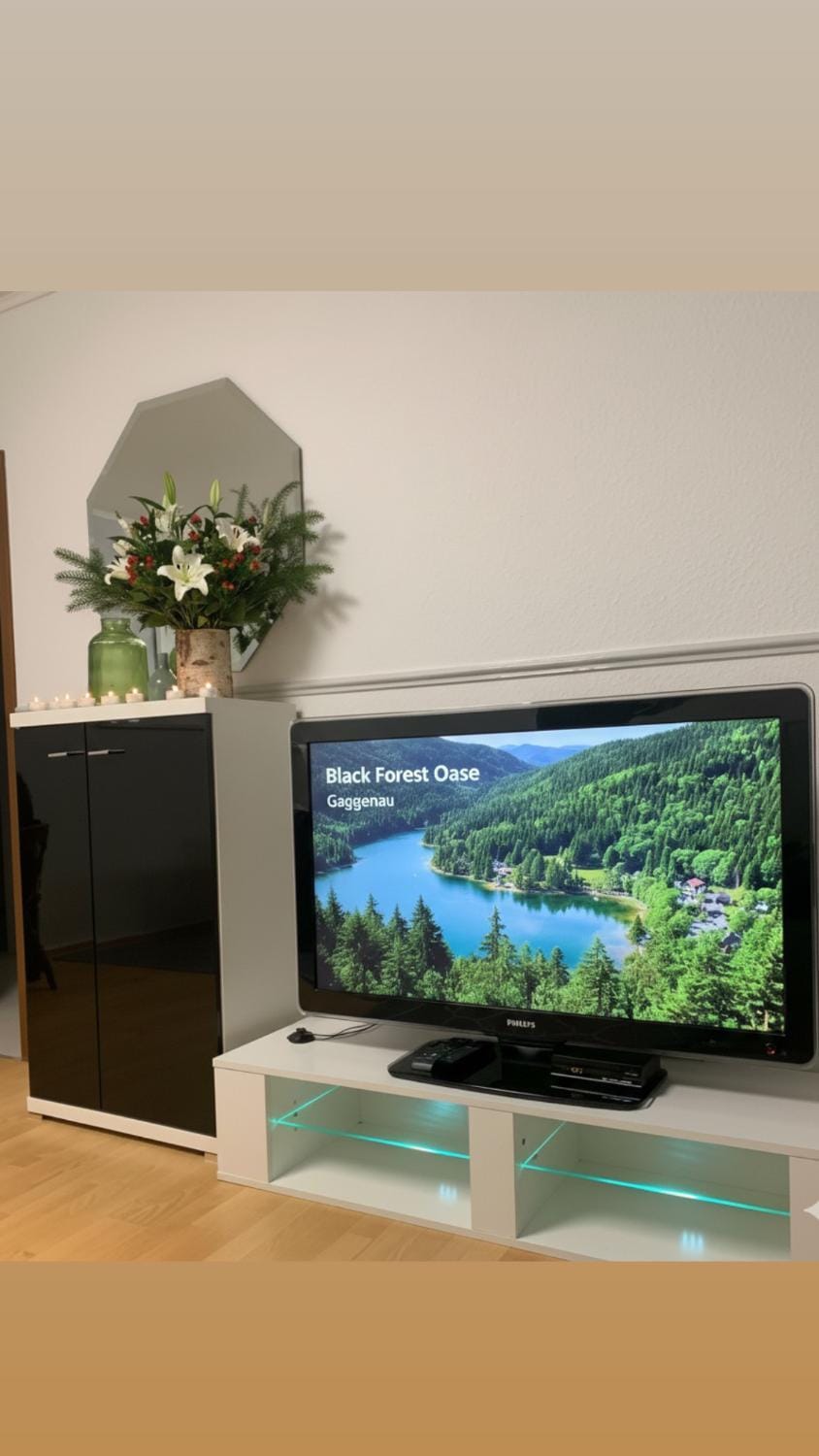 TV and multimedia