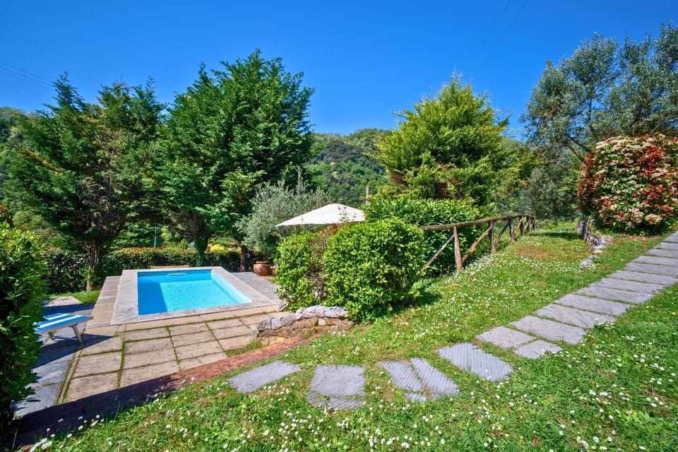 Garden view, Swimming pool