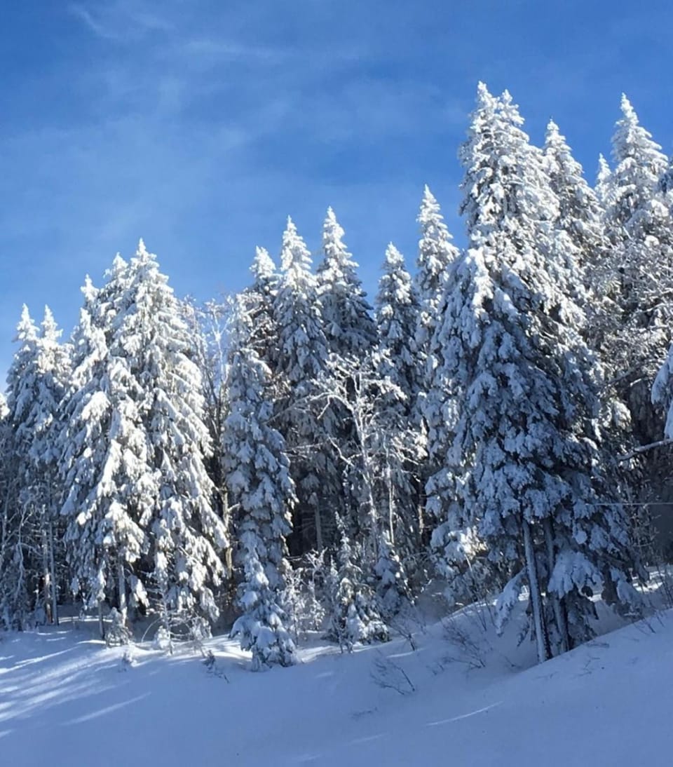 Natural landscape, Winter
