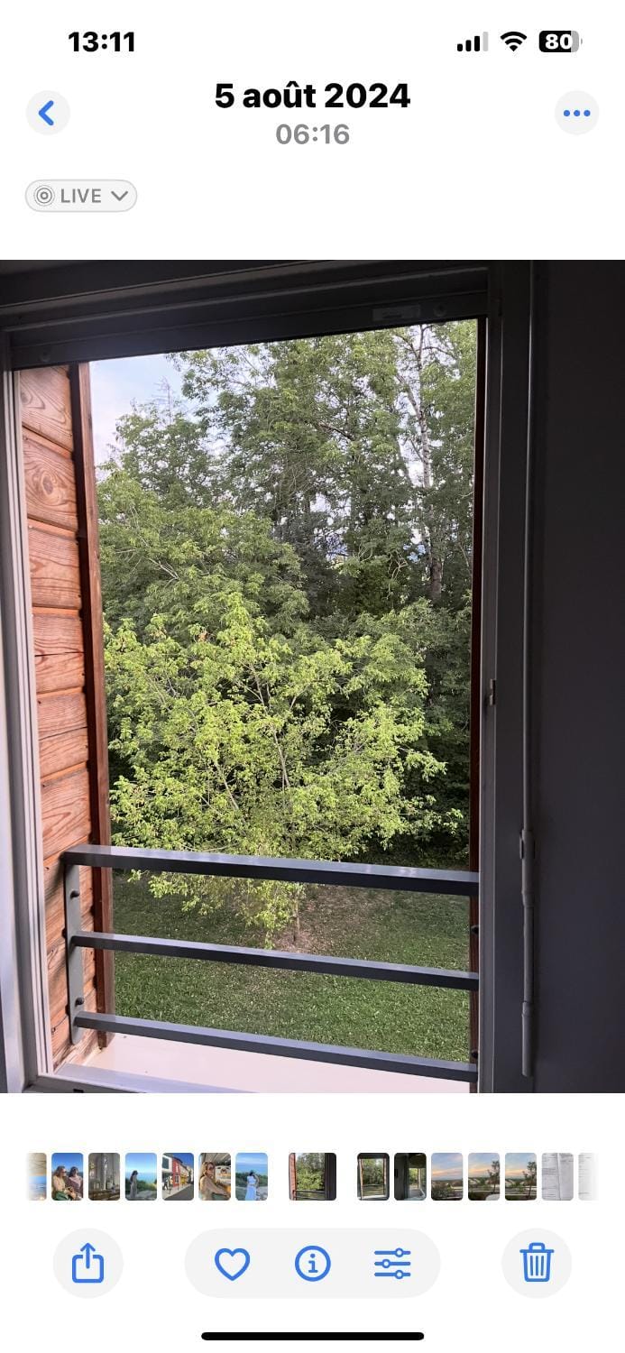 View (from property/room)