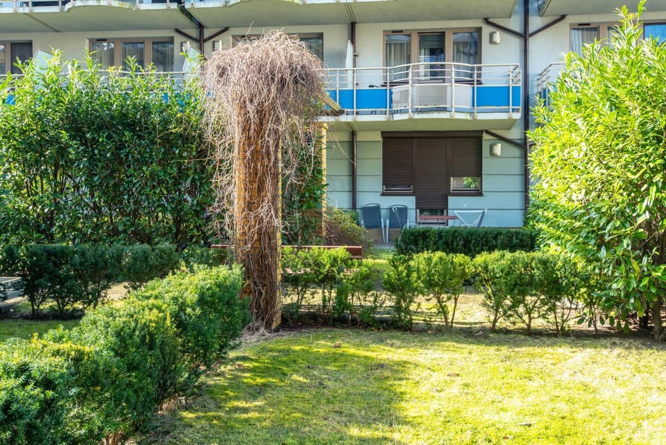 Property building, Garden view