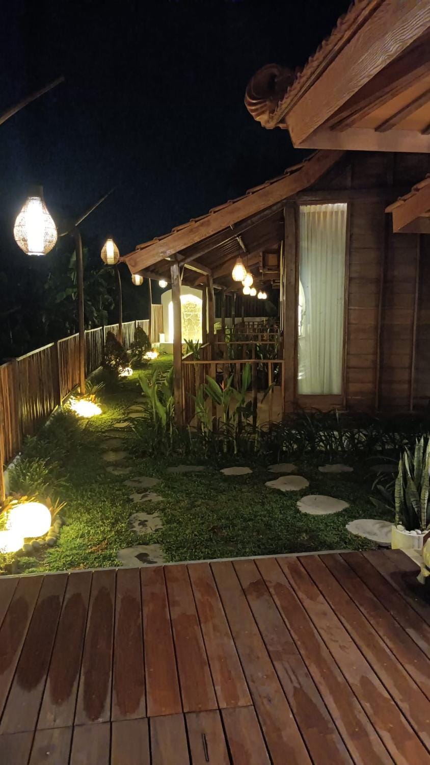 Night, Garden