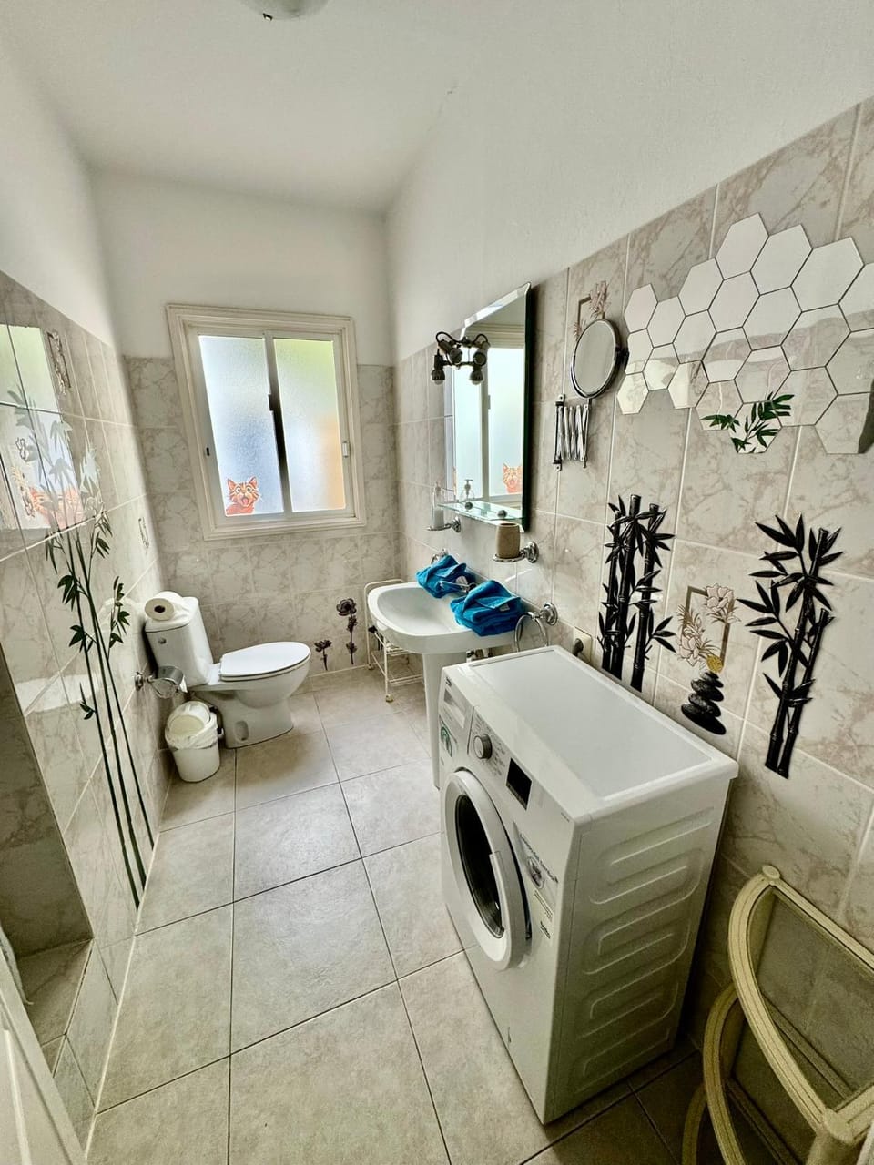 Toilet, Bathroom, washing machine